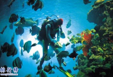 广州有什么好玩的地方？盘点广州适合情侣休闲的地方|爱分享