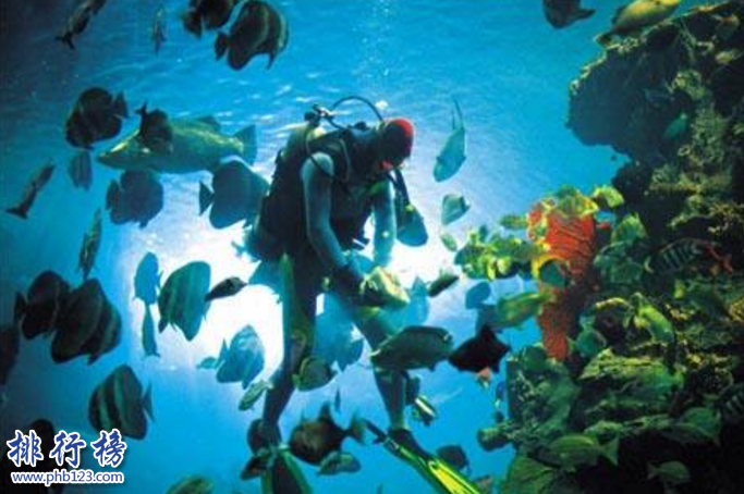 广州有什么好玩的地方？盘点广州适合情侣休闲的地方插图7