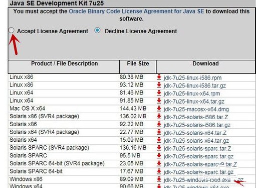 怎么安装打开java插图3