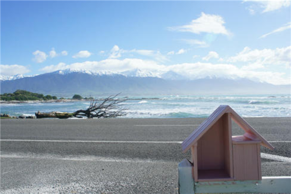 盘点新西兰最美十大小镇 皇后镇登顶瓦纳卡景色秀丽插图6