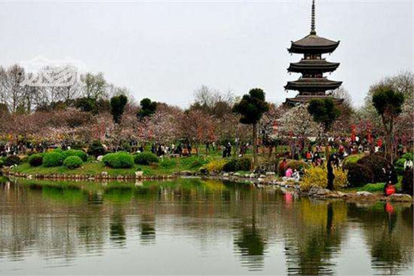 湖北旅游必去十大景点 黄鹤楼、神龙架以及武当山上榜插图4