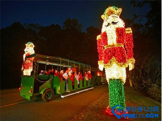 全球十大最佳节日彩灯观赏地排行榜插图3