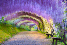 世界十大最浪漫旅游景点 最接近天堂的地方|爱分享