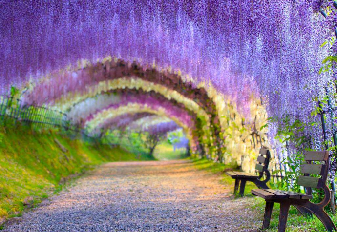 世界十大最浪漫旅游景点 最接近天堂的地方插图6