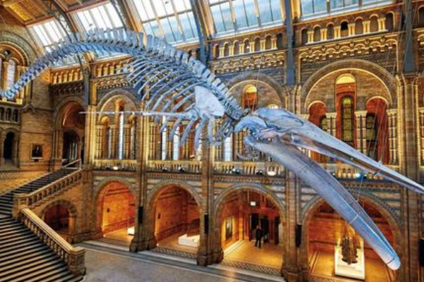 2020英国最受欢迎的景点排名 伦敦眼最浪漫，最后一名历史最悠久插图9