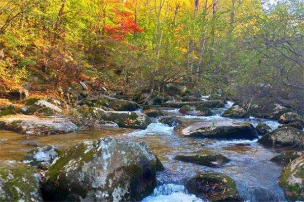 吉林十大风景名胜排行榜：红叶谷上榜，第十游乐项目众多插图8