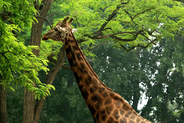 北京十大最受好评的景点:故宫上榜，既是建筑也是艺术品插图3