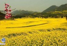 2月份适合去哪里旅游,2月份十大最佳旅游好去处|爱分享