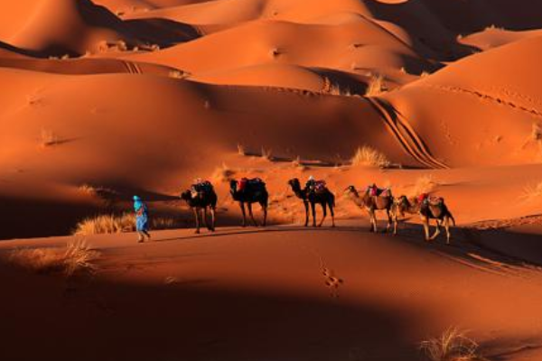 非洲最值得去的景点排行榜 埃及金字塔仅居第二，第一很浪漫插图2