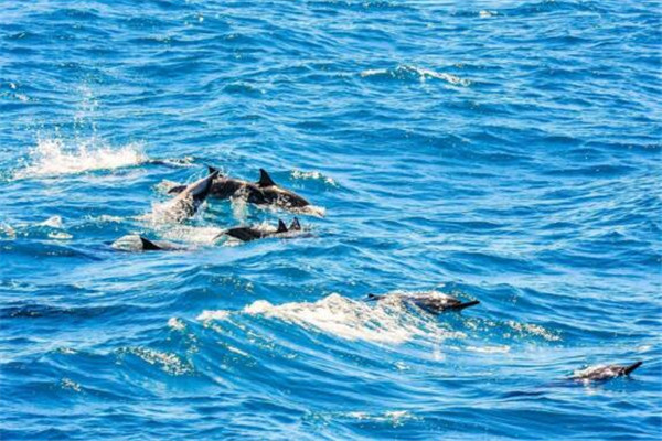 台湾旅游必去十大城市 花莲上榜，台北必去插图5