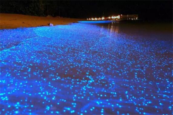 世界最浪漫迷人的十大海滩排行榜 大溪地一定要去插图2