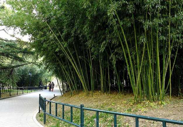 中国十大情侣分手圣地 厦门鼓浪屿上榜插图2