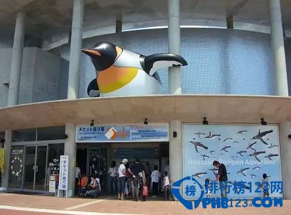 日本最值得去的十大水族馆插图1