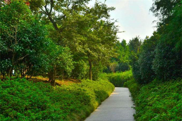 无锡十大免费景点：蠡湖公园上榜，第十是全国重点保护文物插图7