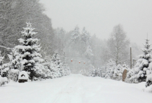 哈尔滨必游景点排名 7大旅景点，有你喜欢的吗|爱分享