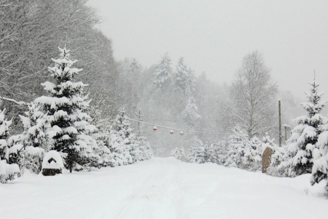 哈尔滨必游景点排名 7大旅景点，有你喜欢的吗插图6