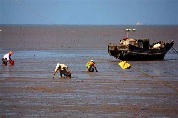 南通十大公园排行榜：滨江公园上榜，探趣绿廊第一插图9