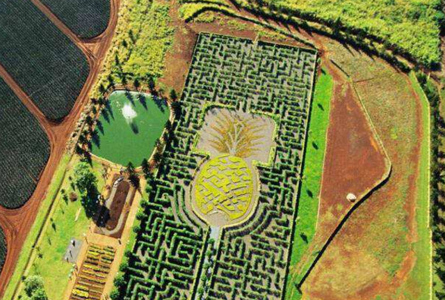 世界十大迷宫 每一个都复杂难辨，你看得懂吗插图8