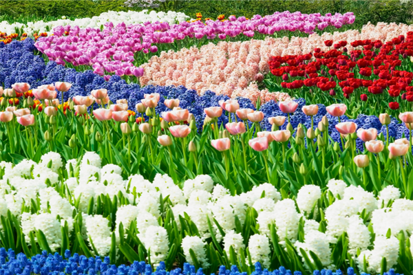 世界著名的十大花园：邱园第四，中国有一个上榜插图9