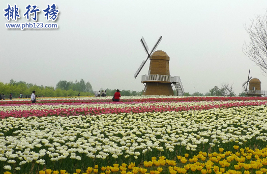 顺义旅游必去景点排行榜：唐指山风景区第3 第4采摘樱桃插图