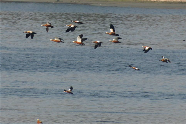 沈阳抖音景点排名 九一八事变博物馆有着极强的教育意义插图3