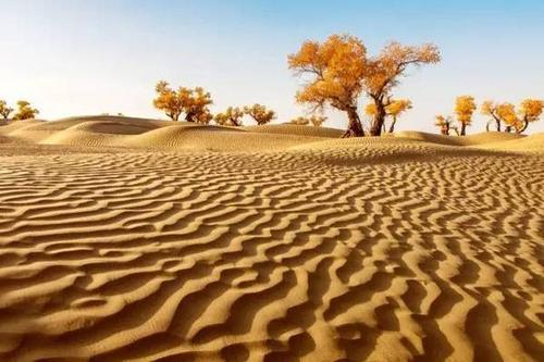 中国十大罕见自然奇观：壶口瀑布上榜，第一地球上最深插图13