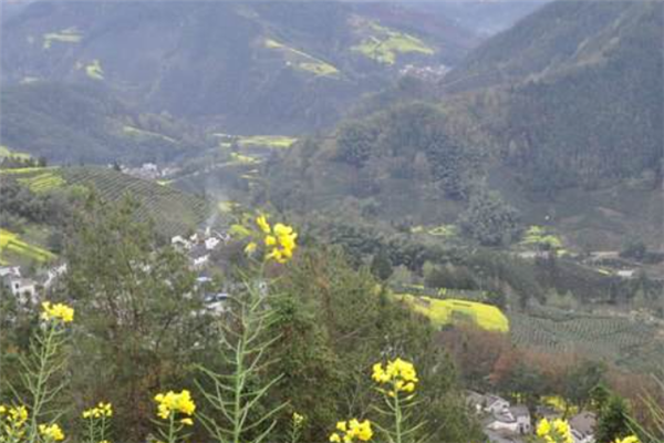 广东四会市十大最好玩的景点：天光墟上榜，第四是大瀑布插图8