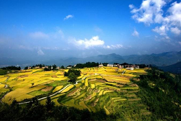 贵阳十大最好玩的地方:少数民族聚居地花溪高坡上榜插图1