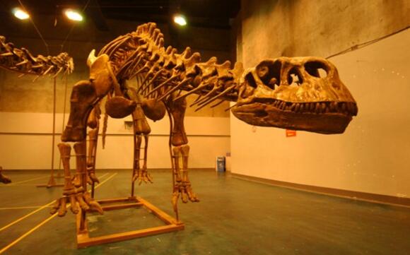 常州好玩的地方排行榜 杨桥古镇和焦溪古镇你更喜欢哪个插图5