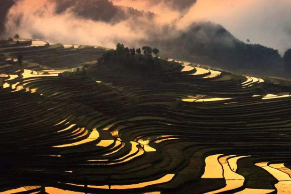 全球十大最美梯田排名：江西江岭梯田第一(中国7地入榜)插图3