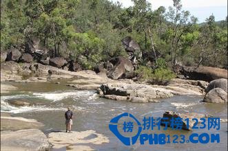 世界上最古老的十大原始森林排行榜插图4