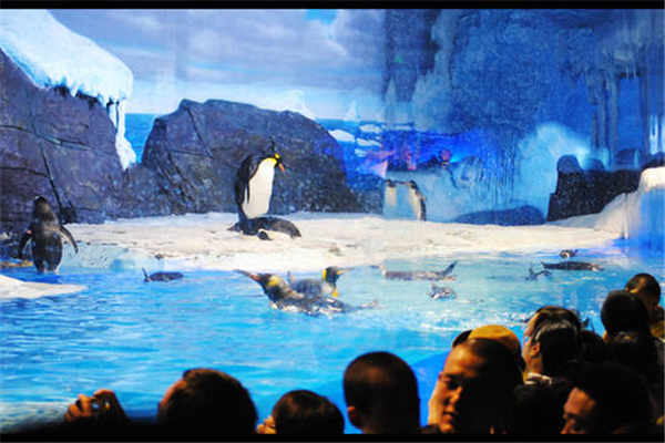 成都坐地铁就能到的景点 环球中心排第二，宽窄巷子上榜插图2