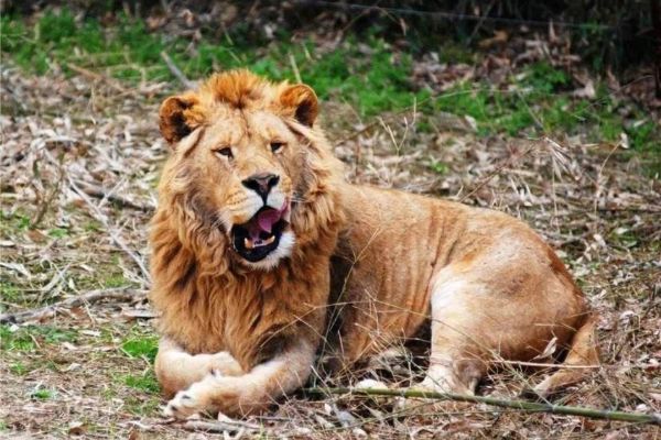 杭州最值得去的十大景点排行榜 西湖与灵隐寺均有上榜插图8