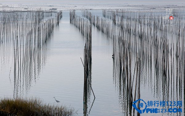 中国最美的景点排行插图21