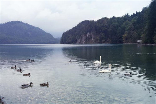 十大情侣必做小事排行榜 一起做饭和一起旅游让人性格磨合插图6