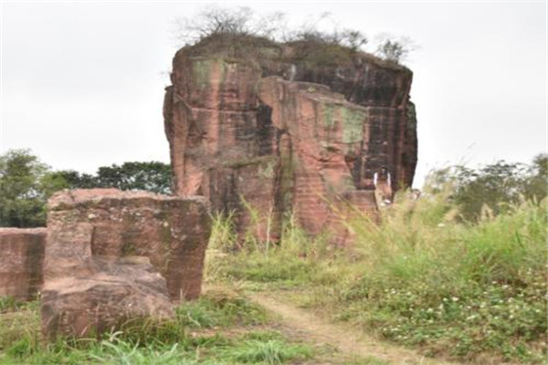 东莞十大人少好玩景点：鲤鱼洲第七，第八可看水生态景观插图5