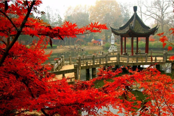 南京十大网红景点：栖霞山上榜，它是网红必去地插图8