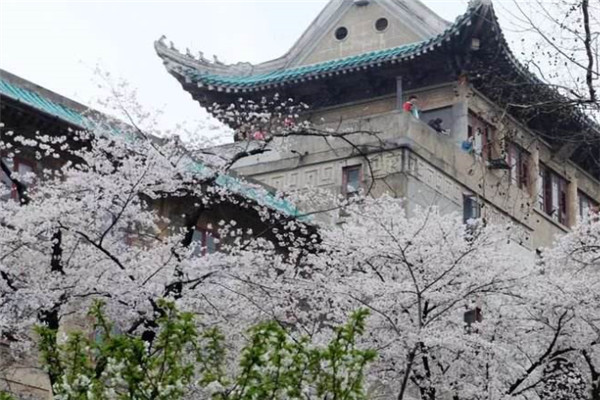 湖北十大景点：襄阳唐城上榜，第六是中国三大名楼之一插图9