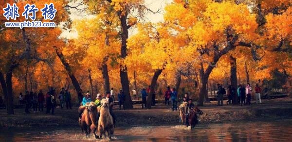 十一国内哪些景点人很多？2018国庆十大最堵景区插图4