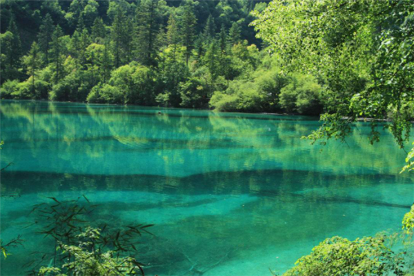 九寨沟景区十大主要景点：五花海上榜，第八是钙化瀑布插图5