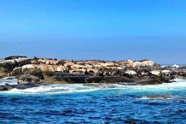 南非十大必去景点:南非不止有钻石还有美景和憨态可掬的企鹅插图9