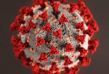 奥密克戎终结新冠疫情|爱分享