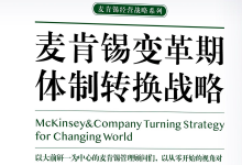 麦肯锡战略制定流程|爱分享