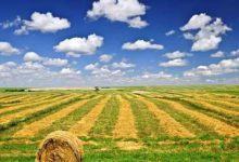 新疆畜牧产业发展趋势及农牧互联网企业典型案例研究借鉴|爱分享