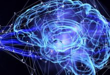 新员工培训：你为什么工作-如何成为一名对公司有价值的员工|爱分享