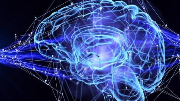 新员工培训：你为什么工作-如何成为一名对公司有价值的员工插图