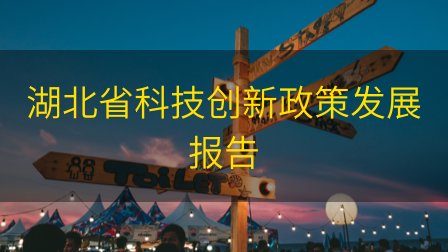 湖北省科技创新政策发展报告插图