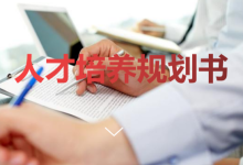 人才发展规划书（标杆企业）|爱分享