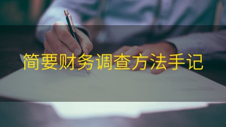 简要财务调查方法手记插图