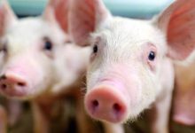 管理成熟度3-集团财务成熟度|爱分享